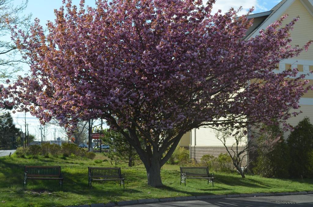 Hyannis Host Inn Екстер'єр фото